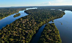 Leia mais sobre o artigo MMA assina acordo de adoção de parque localizado no Amazonas