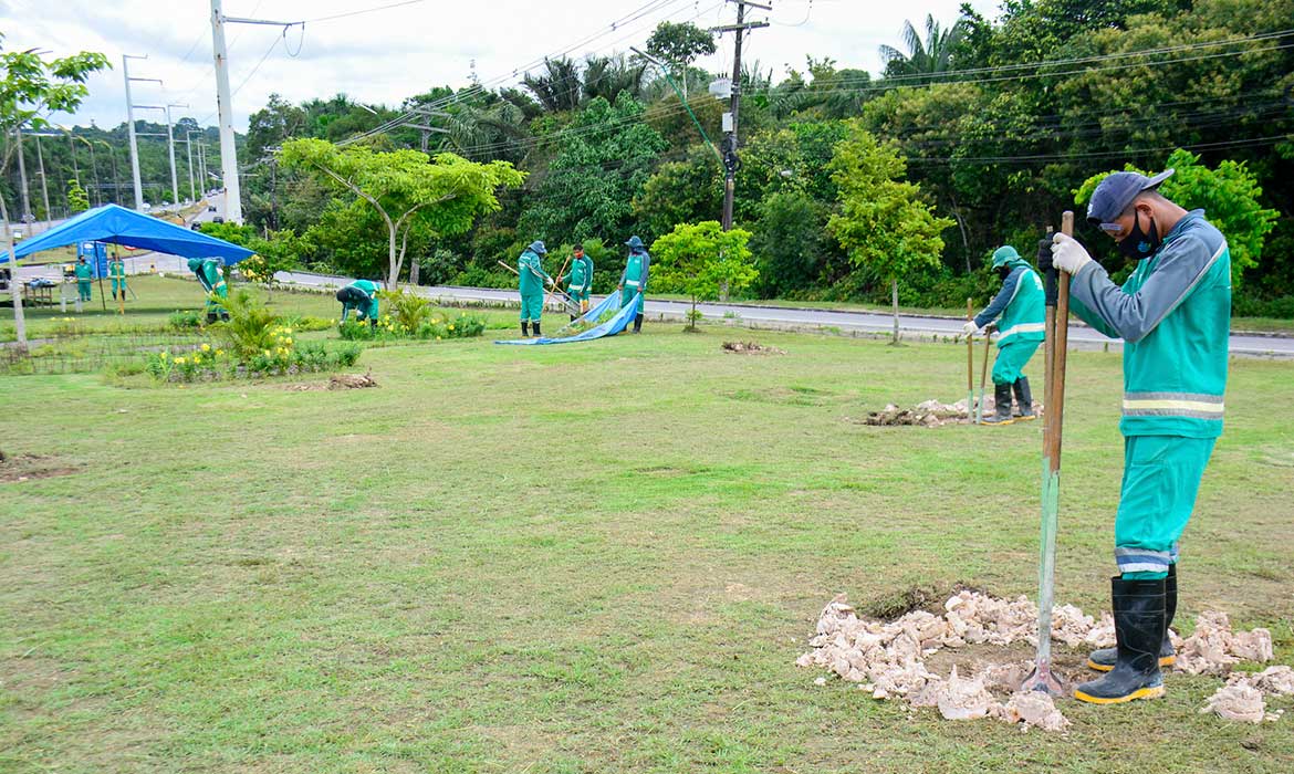 Você está visualizando atualmente Com ‘Manaus Verde’, prefeitura pretende plantar dez mil mudas de árvores em 2021