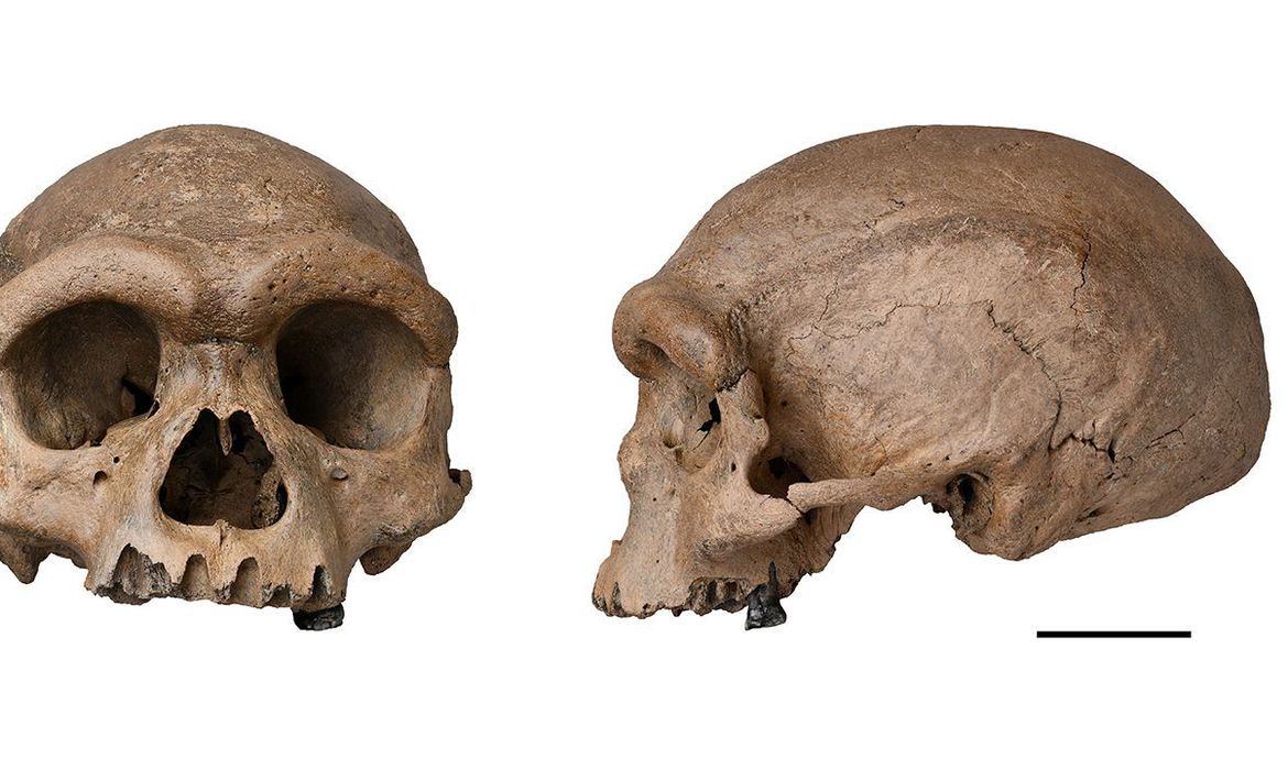 Você está visualizando atualmente Fóssil de espécie mais próxima ao Homo sapiens é descoberto na China