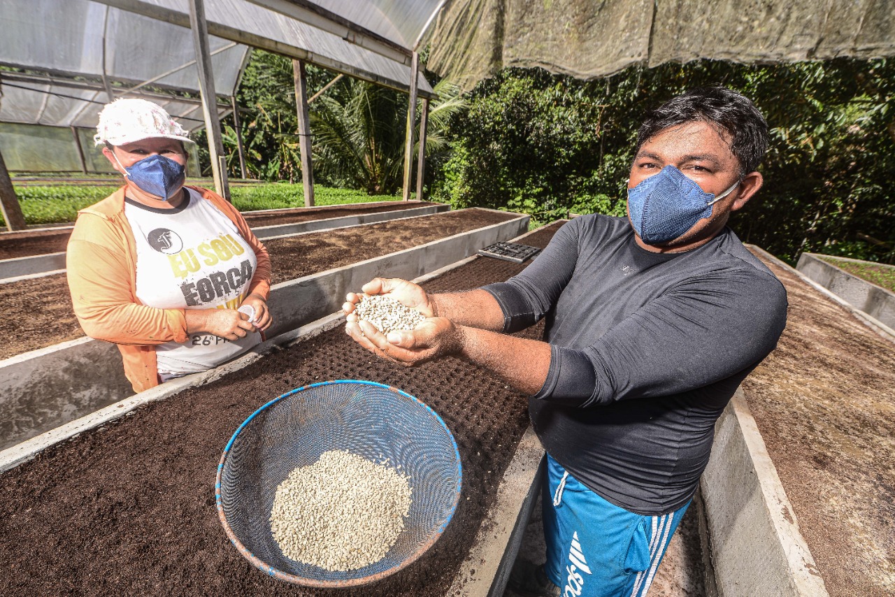 Leia mais sobre o artigo Amazonas tem previsão de aumento de safra agrícola em 2022, aponta IBGE