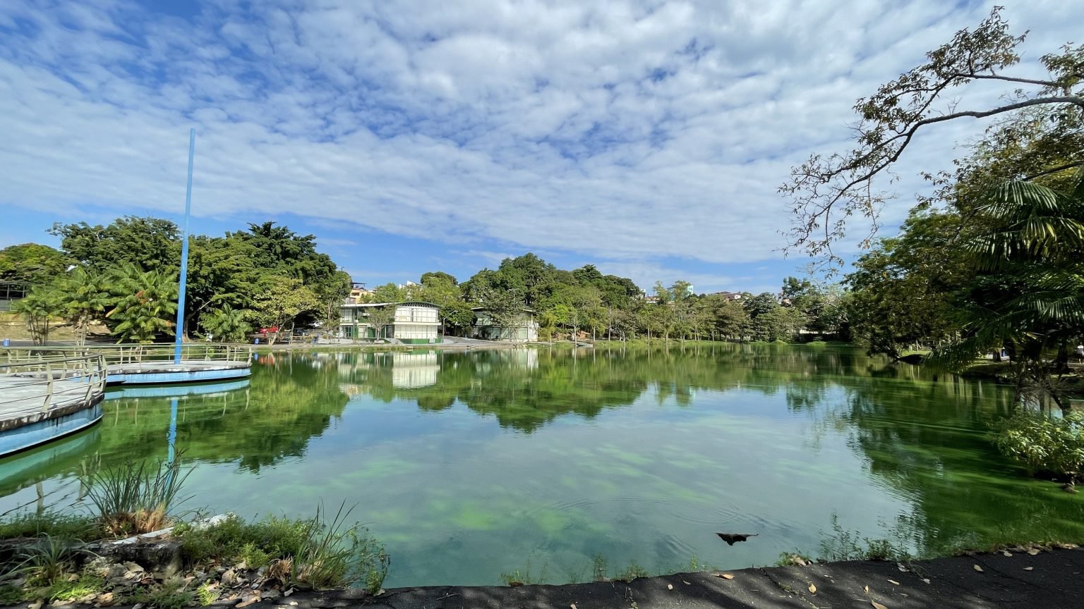 Você está visualizando atualmente Manaus- Ponto de coleta de livros usados