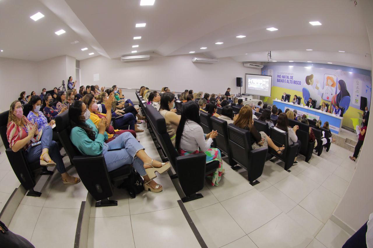 Leia mais sobre o artigo SES-AM realiza seminário de alinhamento do telemonitoramento do Pré-Natal 