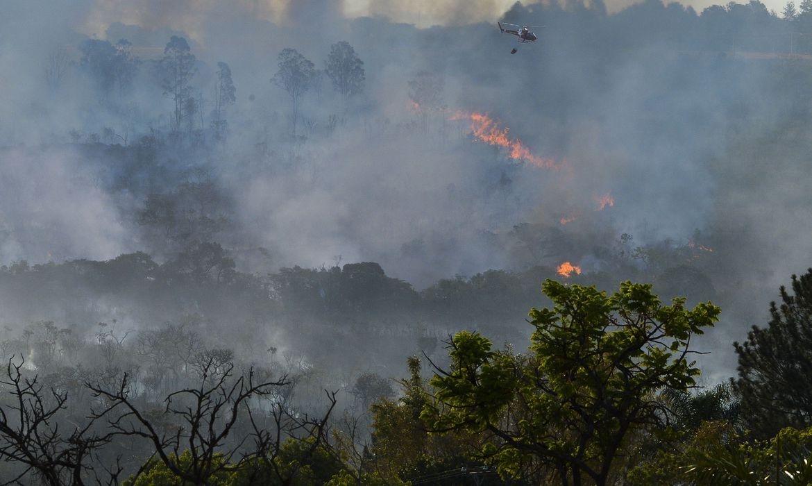 Leia mais sobre o artigo Decreto suspende queimadas em todo território nacional