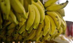 Leia mais sobre o artigo Conab: menor oferta eleva preços de hortaliças e frutas