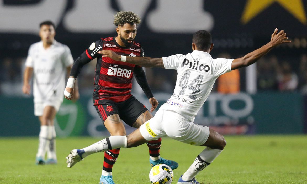 Leia mais sobre o artigo Em clima de Libertadores, Flamengo encara Santos pelo Brasileirão