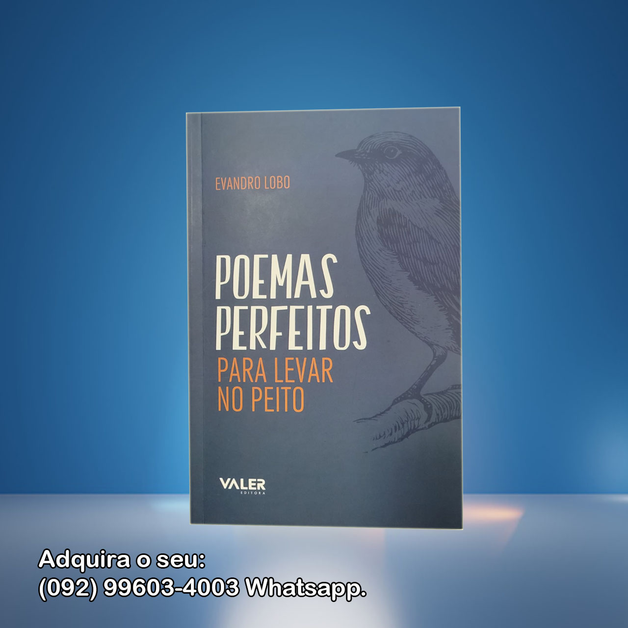 Leia mais sobre o artigo A necessidade de aproximação do indivíduo com a leitura manual