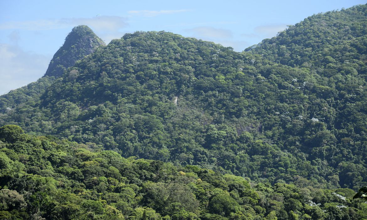 Você está visualizando atualmente Projeto da Fiocruz vai restaurar, no Rio, restaurarda Mata Atlântica