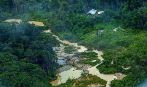 Leia mais sobre o artigo Greenpeace Brasil encontra 176 escavadeiras em terras Yanomami