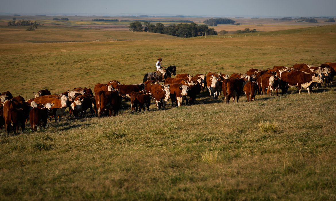 Leia mais sobre o artigo Produto Interno Bruto cresce 2,5% em fevereiro