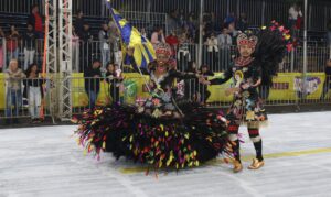 Leia mais sobre o artigo Brasília tem desfile de escolas de samba em período junino