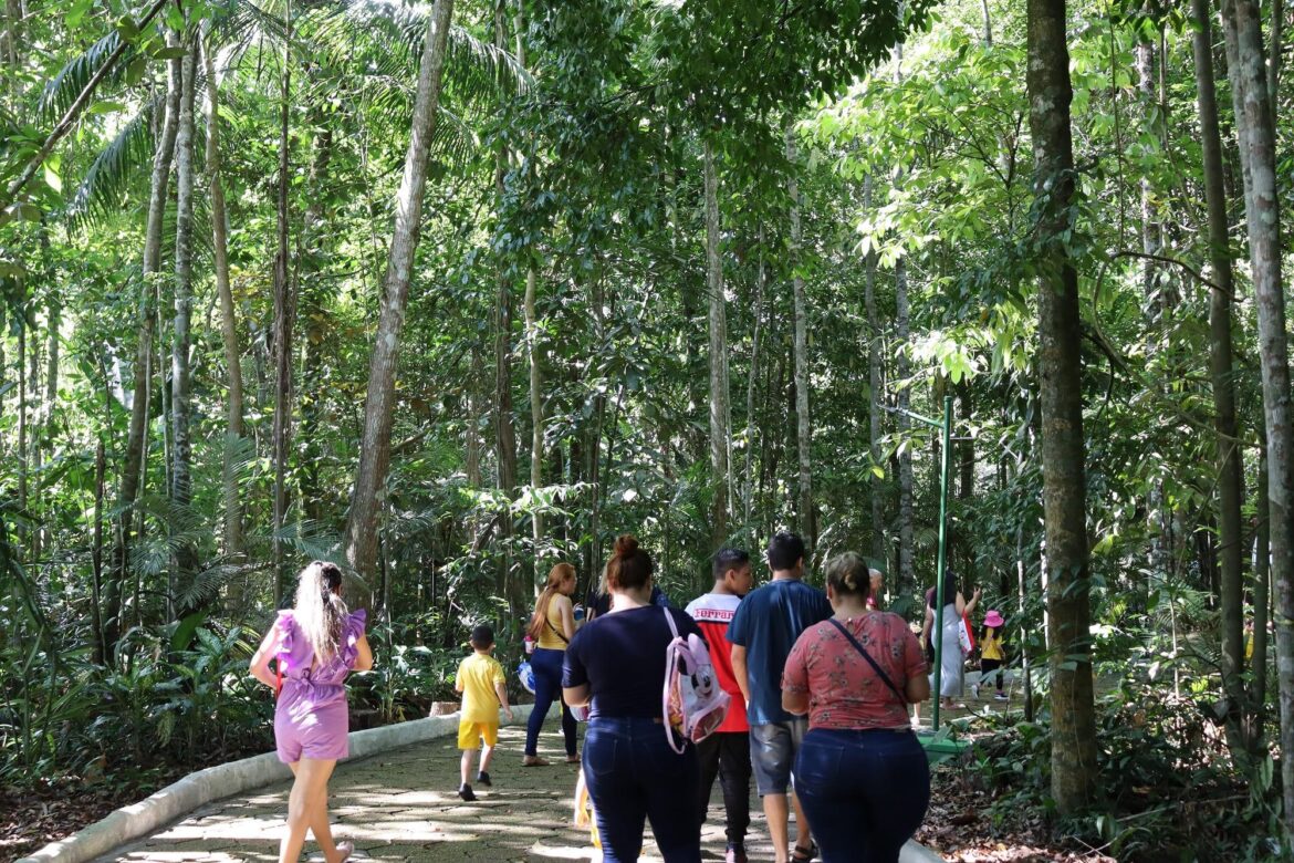 Leia mais sobre o artigo Bosque da Ciência prepara programação para Um Dia no Parque