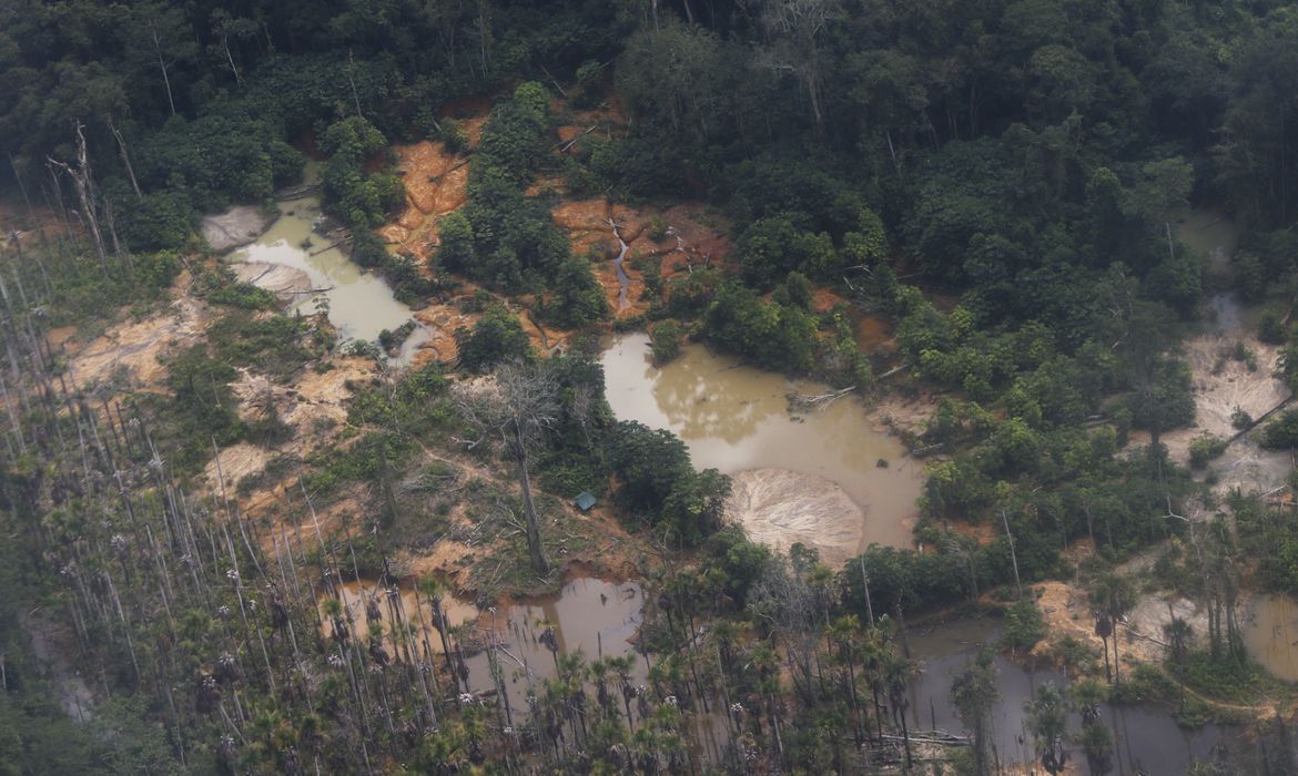 Você está visualizando atualmente Garimpo ilegal devasta área de 118 hectares em Rondônia e no Amazonas