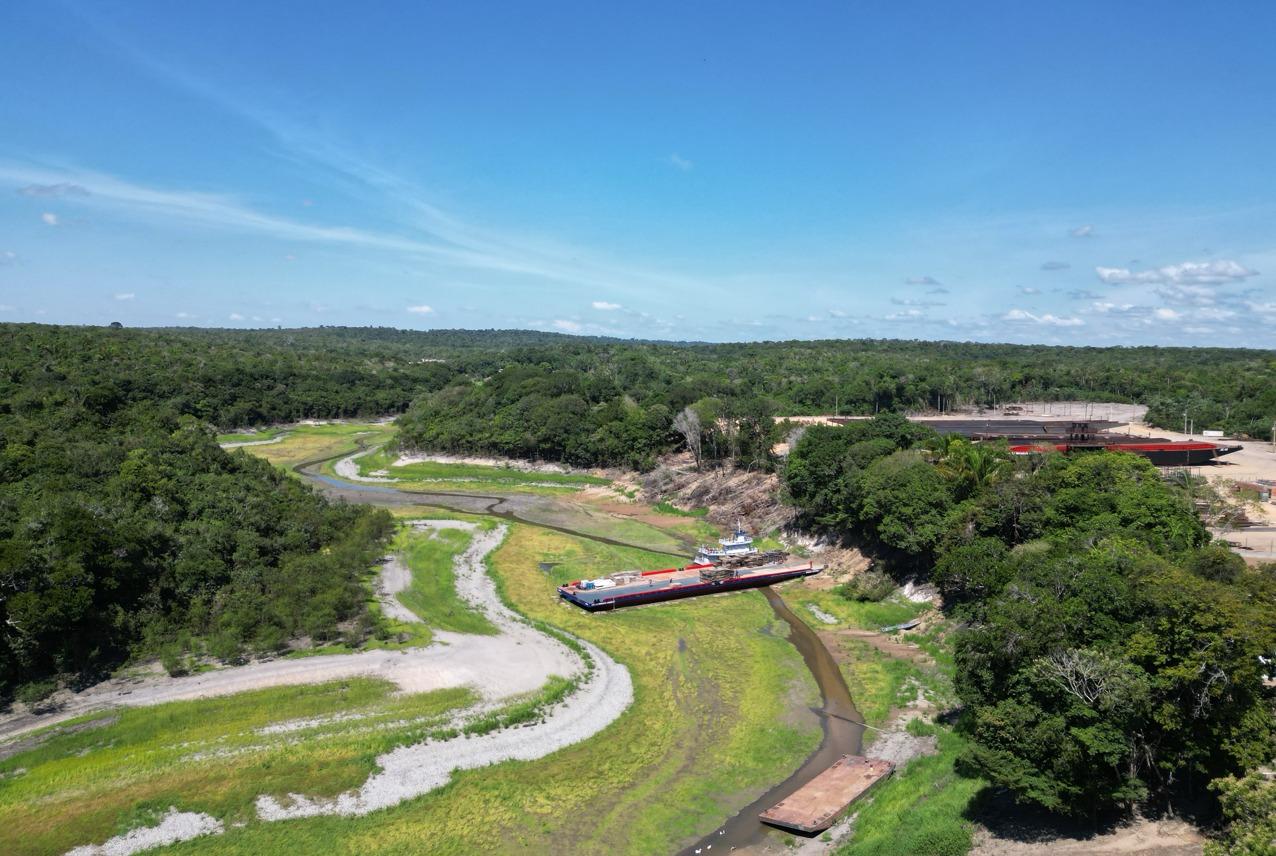 Você está visualizando atualmente Retorno das chuvas faz startup reforçar plantios na Amazônia em parceria com empresas e instituições