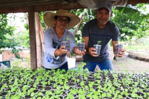 Leia mais sobre o artigo Cosama promove ações de sustentabilidade no Amazonas com doação de copos plásticos para reutilização no plantio de mudas