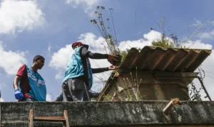 Leia mais sobre o artigo Sete estados e o DF têm tendência de queda nos casos de dengue