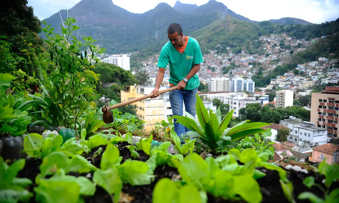 Você está visualizando atualmente Nova lei pretende estimular a produção de alimentos nas cidades