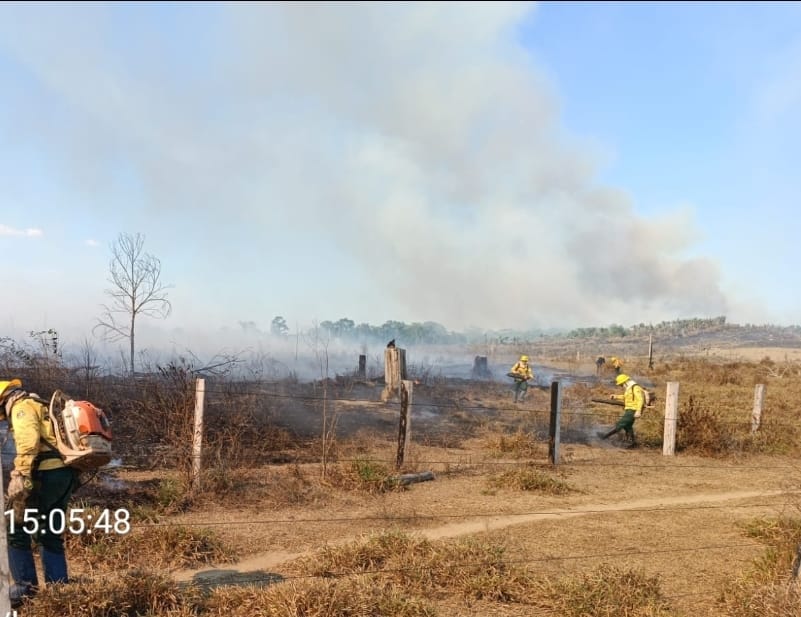 Leia mais sobre o artigo IBAMA-AM: Atuação contra queimadas e incêndios florestais