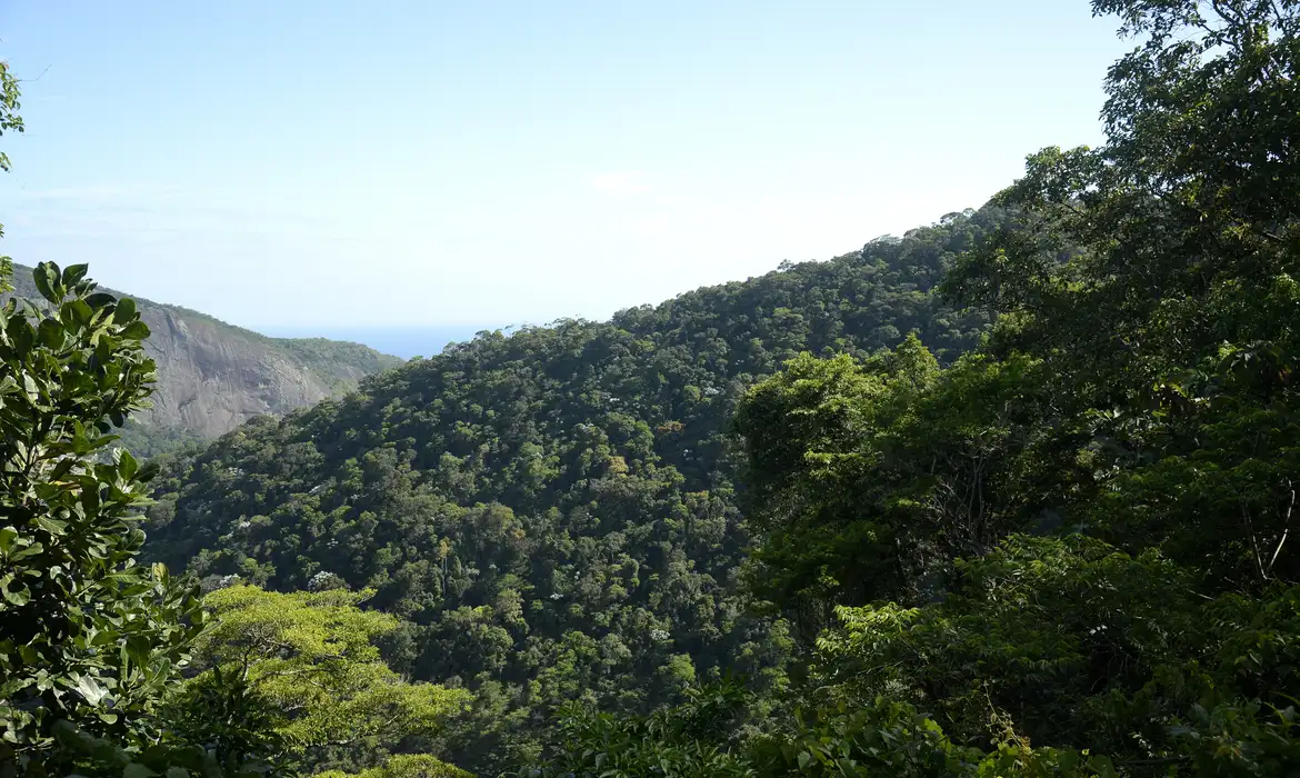 Você está visualizando atualmente Propostas para o Plano Clima serão debatidas nos biomas brasileiros