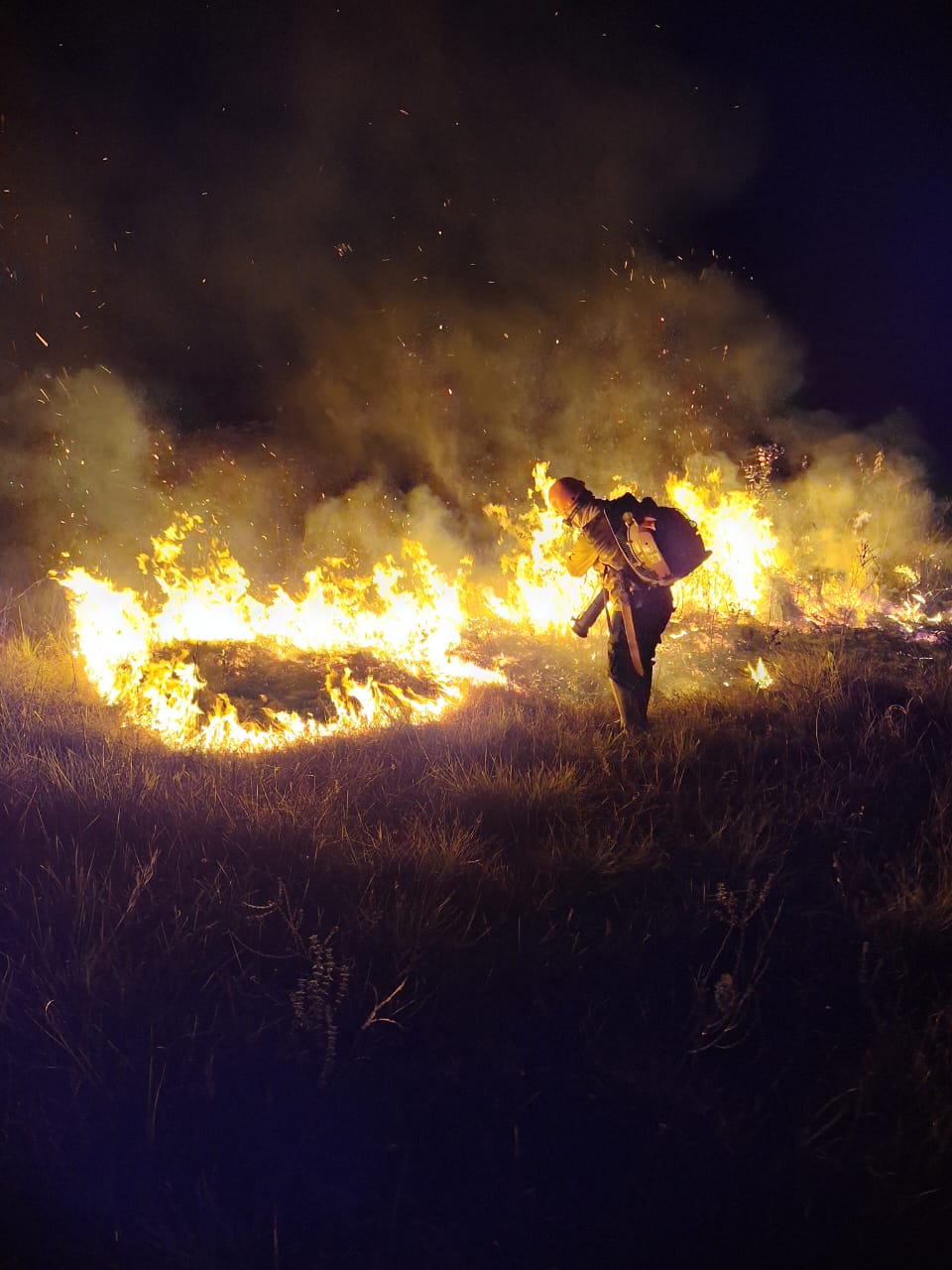 Você está visualizando atualmente Informe IBAMA-AM: Atuação contra queimadas e incêndios florestais