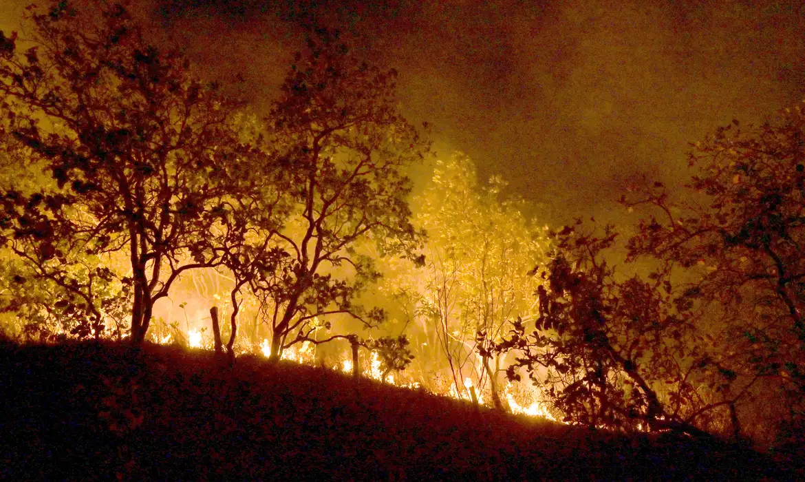 Você está visualizando atualmente Bombeiros combatem mais de 330 incêndios no estado do Rio