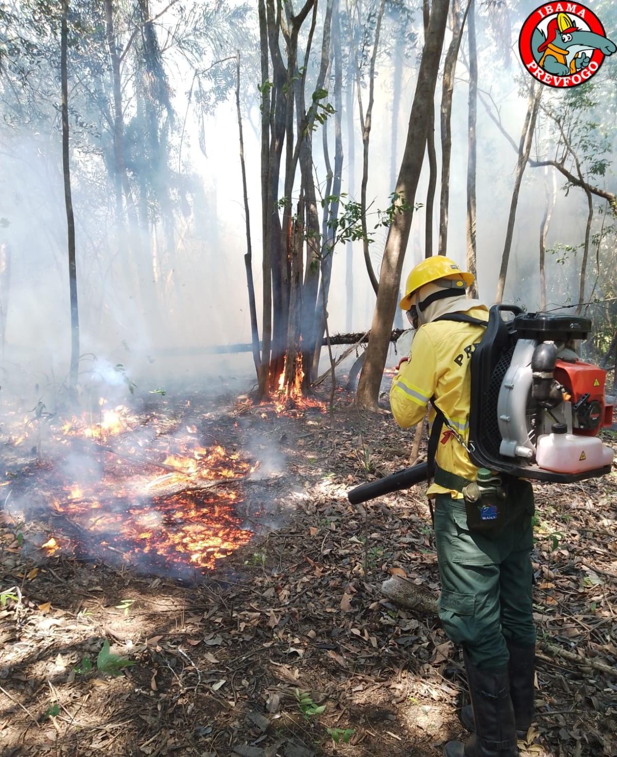 Leia mais sobre o artigo Ibama controla incêndios em Careiro-AM