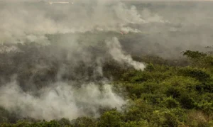 Leia mais sobre o artigo Militares do Exército começam a combater incêndios no Tocantins