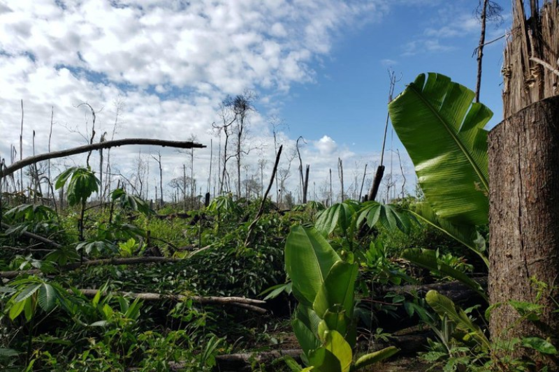 Leia mais sobre o artigo Após atuação do MPF, Justiça condena quatro pessoas a pagar R$ 11 milhões por desmatamento em Boca do Acre (AM)