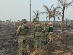 Leia mais sobre o artigo Ibama combate desmatamento e queimadas ilegais no Amazonas