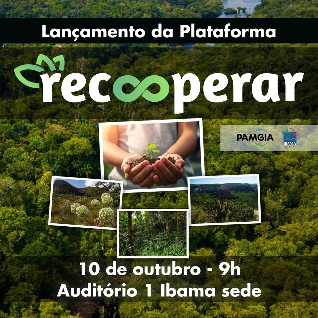 Você está visualizando atualmente Plataforma de recuperação florestal