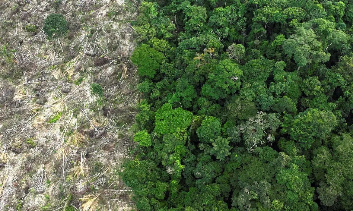 Você está visualizando atualmente Flávio Dino dá prazo de 60 dias para Amazônia e Pantanal aderirem ao Sinaflor