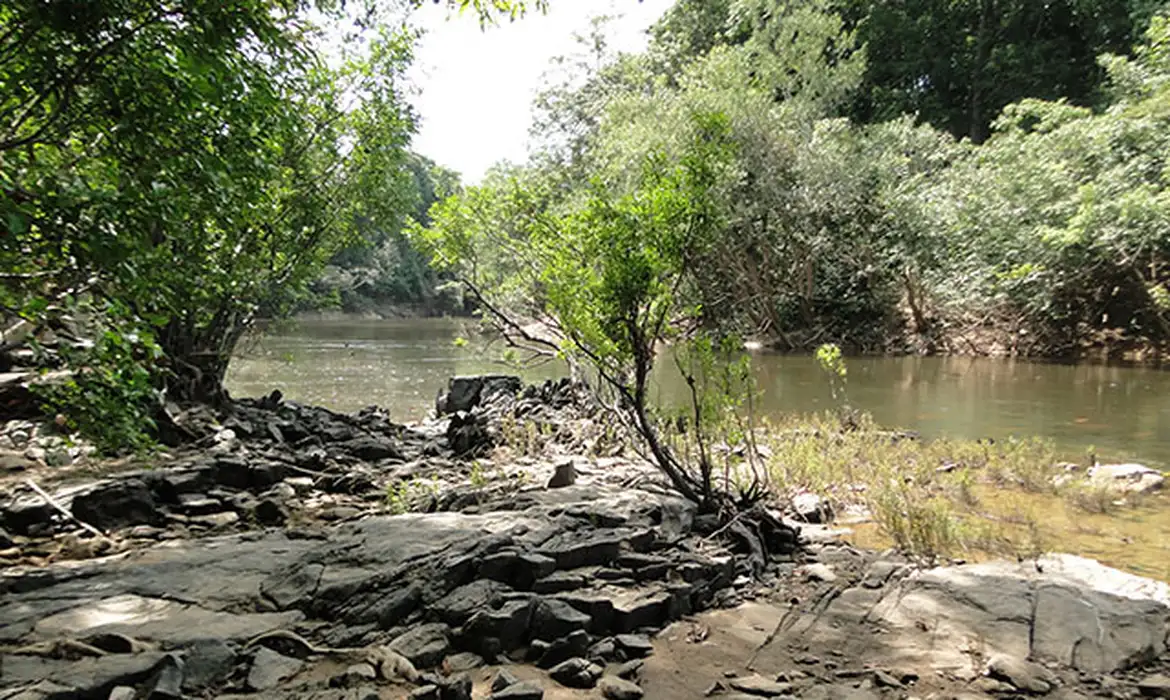 Você está visualizando atualmente Governo lança edital para concessão da Flona do Jatuarana, no Amazonas