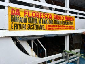 Leia mais sobre o artigo Safra de 2024 da borracha no Amazonas