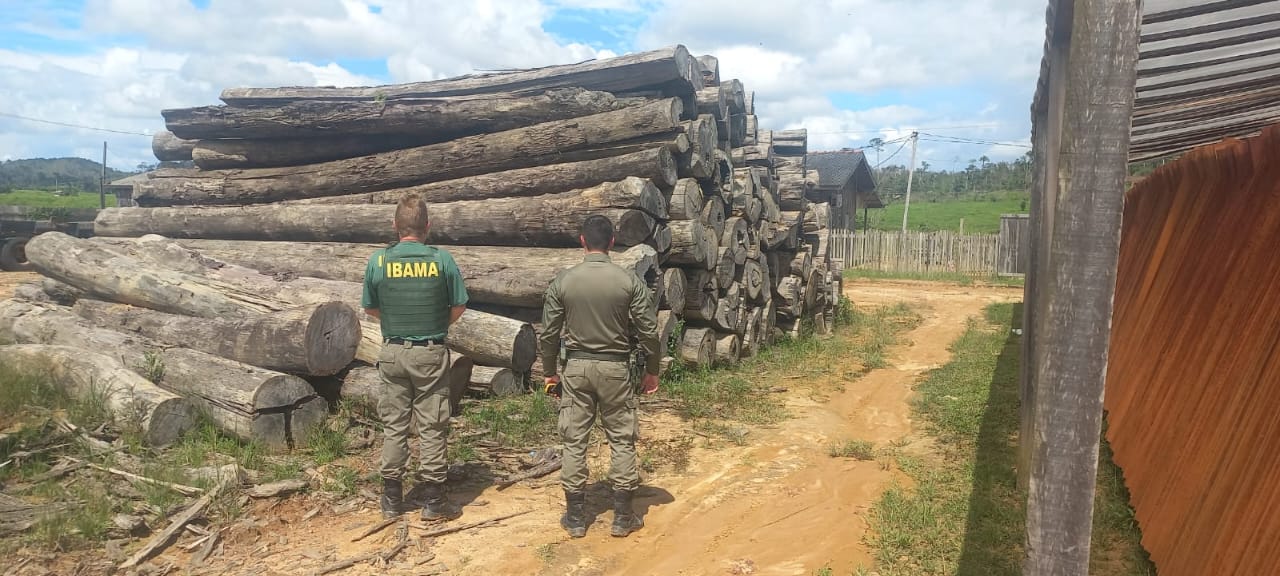 Você está visualizando atualmente Ibama inicia “Operação Maravalha 2025” para combater o desmatamento na Amazônia