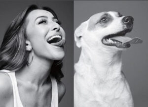 Leia mais sobre o artigo Dia do Vira-Lata reacende debate sobre abandono animal