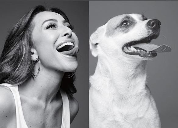 No momento, você está visualizando Dia do Vira-Lata reacende debate sobre abandono animal