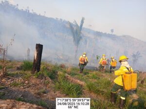 Leia mais sobre o artigo IBAMA combate a incêndios florestais nos Campos Amazônicos e na TI Tenharin Marmelos no Amazonas