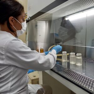 Leia mais sobre o artigo Estudo apoiado pelo Governo do Amazonas avalia espécies de cândida na rede de esgoto hospitalar