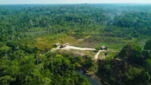 Leia mais sobre o artigo MPF pede suspensão imediata de projeto de crédito de carbono/REDD+ em Unidades de Conservação no Amazonas