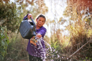 Leia mais sobre o artigo COP30: Governo do Brasil lança Marco de Sistemas Alimentares e Clima para as Políticas Públicas